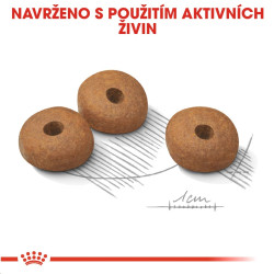 Royal canin Mini Light 800g