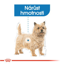 Royal canin Mini Light 2kg