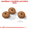 Royal canin Mini Light 2kg