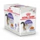 Royal canin Feline Sterilised kaps v želé 85g