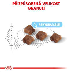 Royal canin Feline Babycat 400g