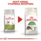 Royal canin Feline Outdoor 400g