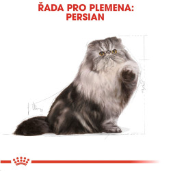 Royal canin Breed Feline Persian 10kg