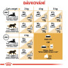 Royal canin Breed Feline Persian 10kg