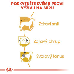 Royal canin Breed Pudl 1,5kg