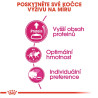 Royal canin Feline Exigent Protein 2kg