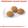 Royal canin Feline Exigent Protein 2kg