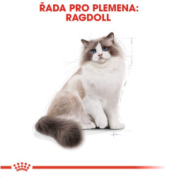 Royal canin Breed Feline Ragdoll 2kg