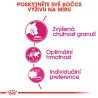 Royal canin Feline Exigent Savour 4kg