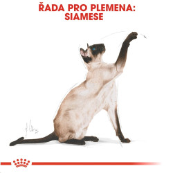 Royal canin Breed Feline Siamese 2kg