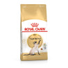 Royal canin Breed Feline Siamese 400g