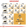 Royal canin Breed Feline Sphynx 10kg