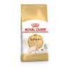Royal canin Breed Feline Sphynx 10kg