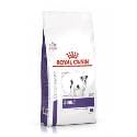 Royal Canin Vet. Adult Small Dog 2kg