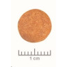 Royal Canin VD Feline Hepatic 2kg