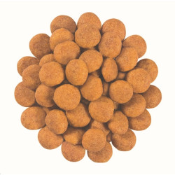 Royal Canin VD Feline Hepatic 2kg