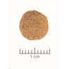 Royal Canin VD Feline Mobility 2kg