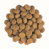 Royal Canin VD Feline Mobility 2kg