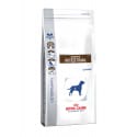 Royal Canin VD Canine Gastro Intest  2kg