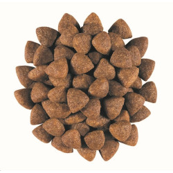 Royal Canin VD Canine Gastro Intest Junior 2,5kg