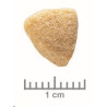Royal Canin VD Feline Hypoall 2,5kg