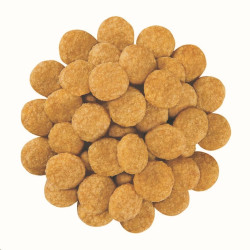 Royal Canin VD Canine Skin Care Adult Small Dog 2kg