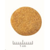 Royal Canin VD Canine Skin Care Adult Dog 2kg