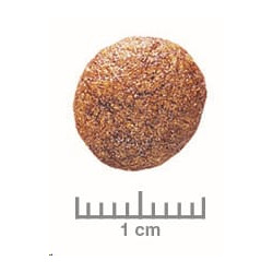 Royal Canin VD Feline Urinary S/O 1,5kg