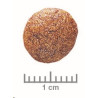 Royal Canin VD Feline Urinary S/O 1,5kg