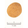 Royal Canin VD Canine Urinary U/C Low Purine 2kg