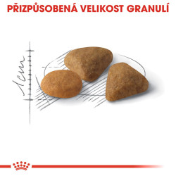 Royal canin Feline Exigent Savour 10kg