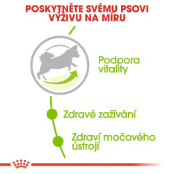 Royal canin X-Small Mature+8 500g