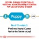 Royal canin Breed Yorkshire Junior  7,5kg