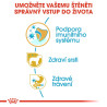 Royal canin Breed Yorkshire Junior 1,5kg