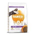 Iams Cat Kitten Chicken 2kg