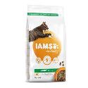 Iams Cat Adult Chicken 2kg