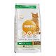 Iams Cat Adult Lamb 2kg