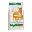 Iams Cat Adult Lamb 2kg