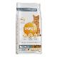 Iams Cat Adult IND Chicken 2kg