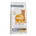 Iams Cat Adult IND Chicken 2kg