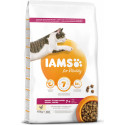 Iams Cat Senior Chicken 10kg