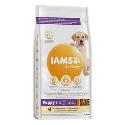 Iams Dog Puppy Large Chicken 3kg