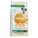 Iams Dog Adult Small&Medium Chicken 12kg