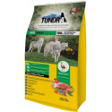 Tundra Dog Turkey Alberta Wildwood Formula 3,18 kg