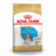 Royal Canin Breed Kavalír King Charles Junior  1,5kg