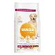 Iams Dog Senior Large Chicken 12kg