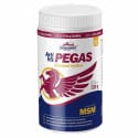 VITAR Veterinae ArtiVit Pegas MSM 720g