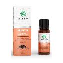 Silice hřebíček 100% TOPVET 10ml