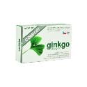 Ginkgo COMFORT SR 60mg 60tbl