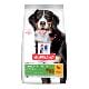 Hill's Can.Dry SP Mature Adult 5+Senior Large Br. 14kg